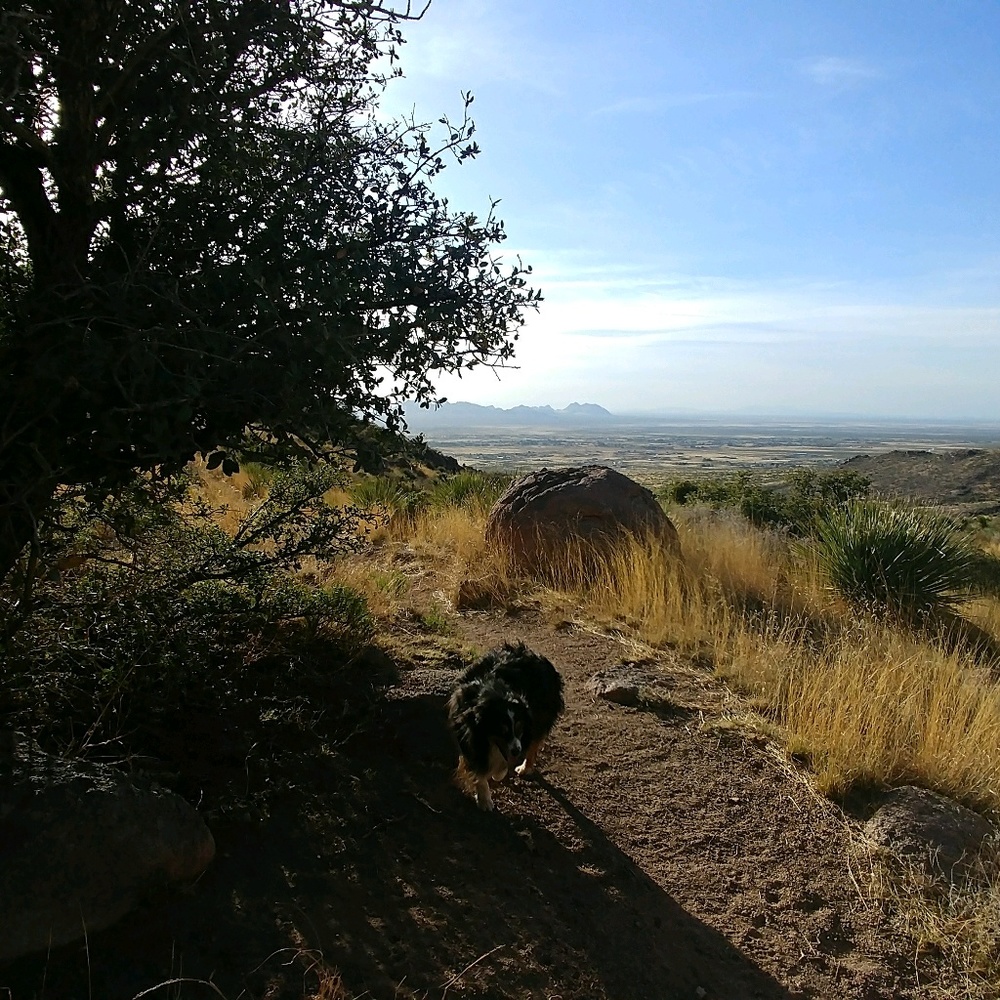 Meet your Posher, Judy